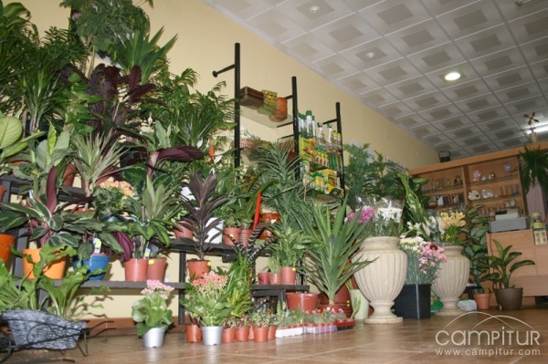 Floristería Inma
