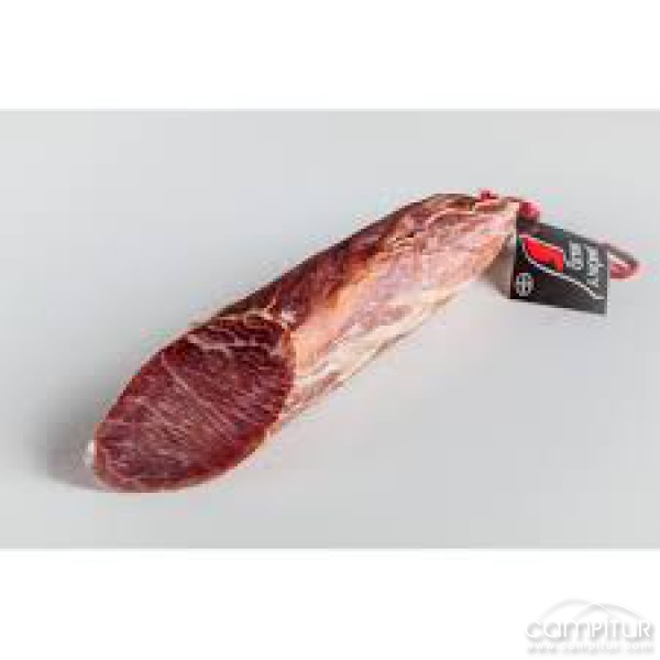 Jamón y Salud S.A 