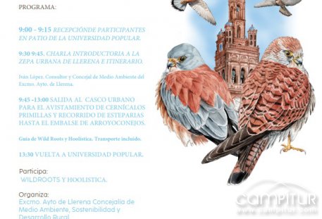 Llerena se cita con el cernícalo primilla